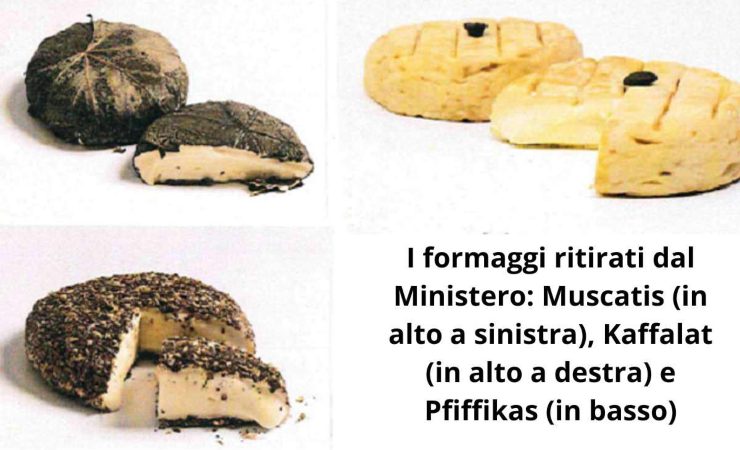 Formaggi