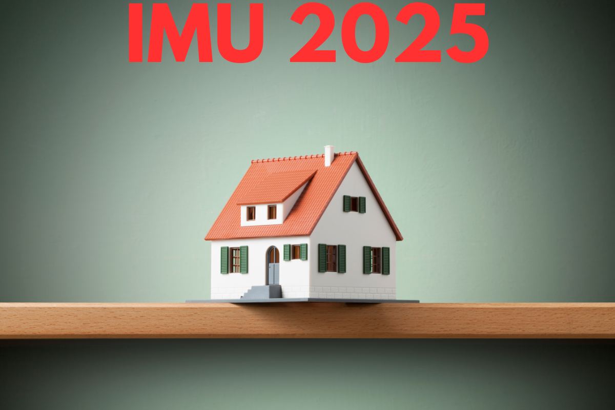 Imu 2025